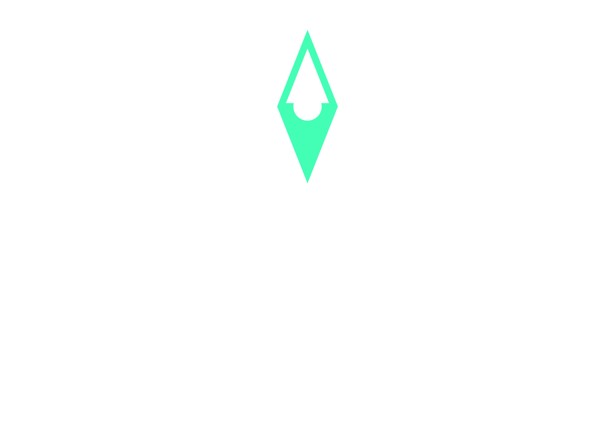Tech Navigator Logo